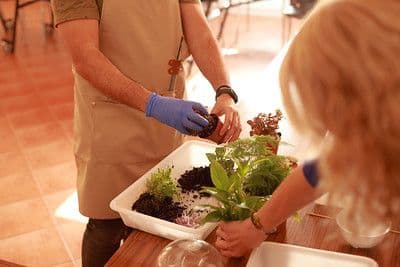 Taller de Terrarios en Murcia con El Terrarista